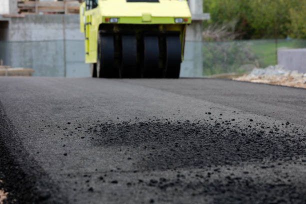 Best Local Driveway Pavers  in Palm Coast, FL